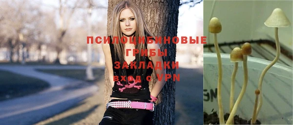 не бодяженный Армянск