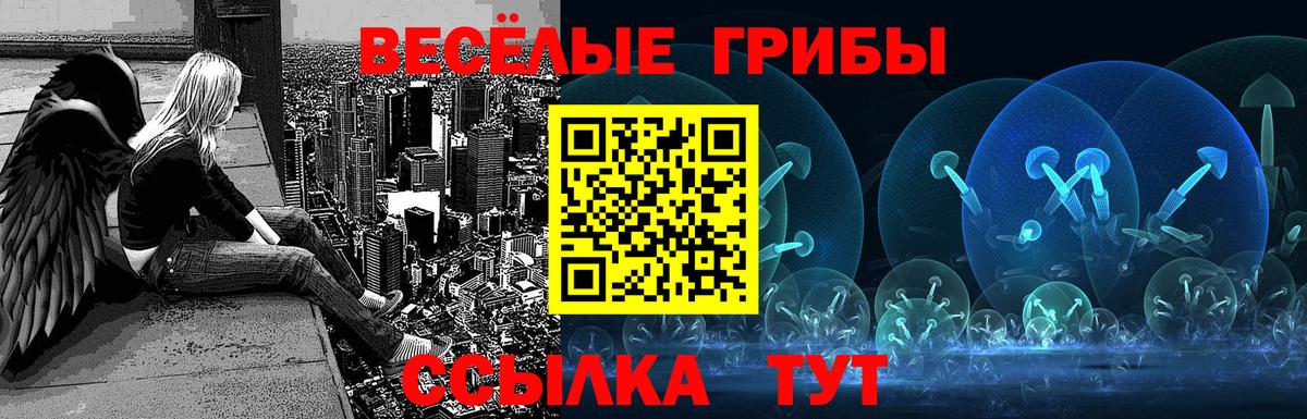 где купить наркоту  Псилоцибиновые грибы мухоморы  Вход с VPN  Галлюциногенные грибы Cubensis  Электрогорск 